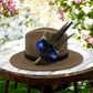 Blue & Natural Feather Hat Pin (CFP782)