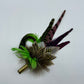 Lime Green & Natural Feather Hat Pin (CFP550)