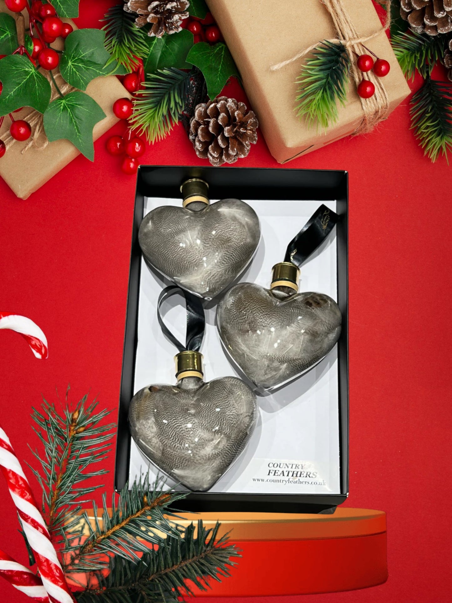 Heart Feather Baubles (CFHE9017)