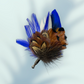 Royal Blue & Natural Feather Lapel Pin in a Silver Clasp (CFLP181)