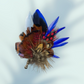 Royal Blue, Red & Natural Feather Lapel Pin in a Silver Clasp (CFLP184)