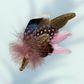 Pink & Natural Feather Lapel Pin in a Gold Clasp (CFLP192)