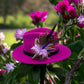 Pink & Natural Feather Hat Pin (CFP347)